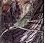 Country DNA Mossy Oak swatch